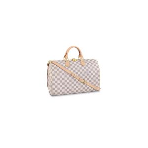 LV Mini Pochette Accessoires